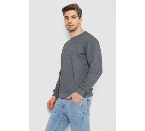 Свитшот утепленный мужской, цвет серый, 242R054