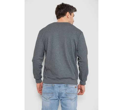 Свитшот утепленный мужской, цвет серый, 242R054