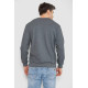 Свитшот утепленный мужской, цвет серый, 242R054