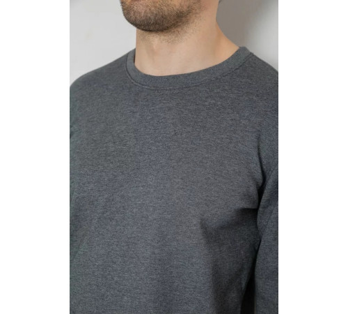 Свитшот утепленный мужской, цвет серый, 242R054