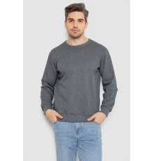 Світшот чоловічий утеплений, колір сірий, 242R054