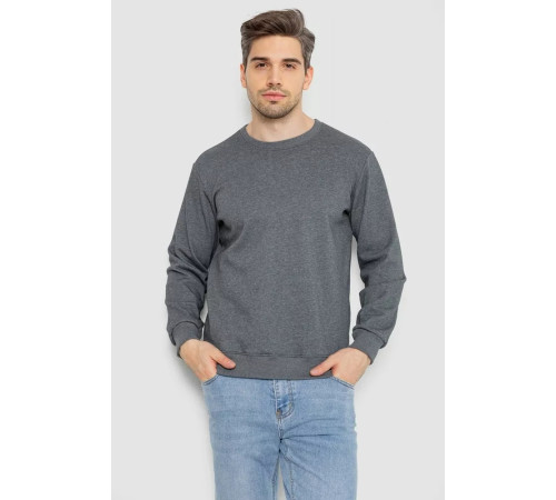 Свитшот утепленный мужской, цвет серый, 242R054