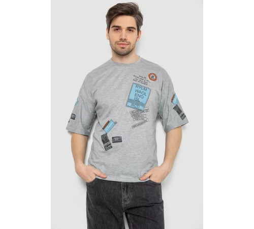 Футболка мужская с принтом, цвет серый, 244R20139