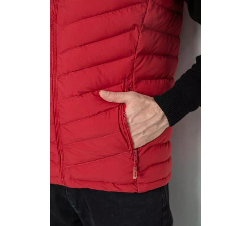 Жилетка чоловіча демісезонна, колір бордовий, 244R777