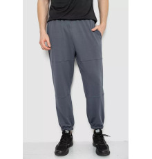 Спортивні штани чоловічі демісезонні, колір сірий, 241R001-1