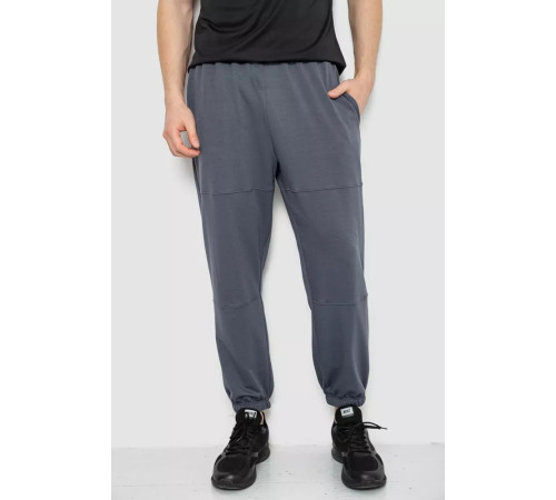 Спортивные штаны мужские демисезонные, цвет серый, 241R001-1