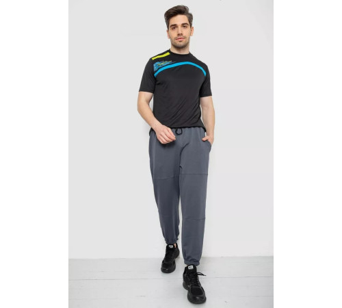 Спортивные штаны мужские демисезонные, цвет серый, 241R001-1