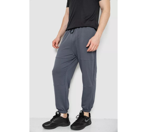 Спортивные штаны мужские демисезонные, цвет серый, 241R001-1