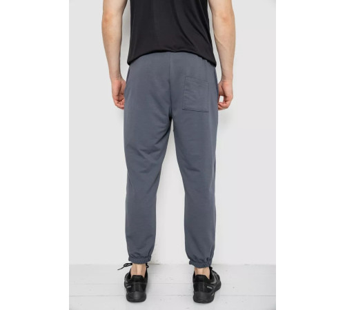 Спортивные штаны мужские демисезонные, цвет серый, 241R001-1