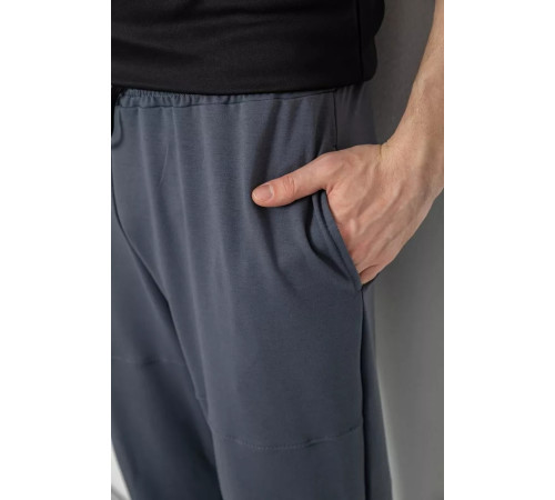 Спортивные штаны мужские демисезонные, цвет серый, 241R001-1