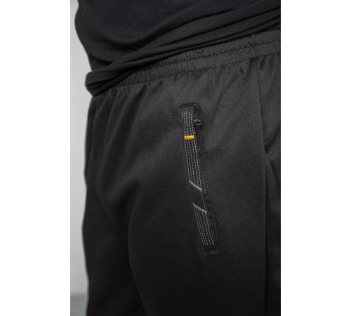 Спорт брюки мужские, цвет черный, 244R41622