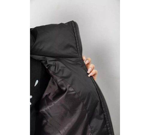Куртка женская демисезонная, цвет черный, 102R5273