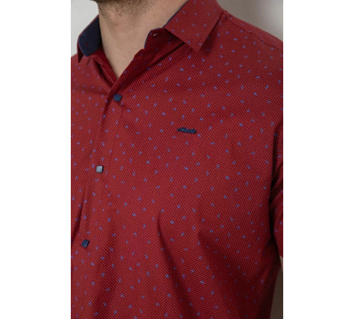 Рубашка мужская с принтом, цвет бордовый, 214R7340-1.