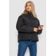 Куртка женская демисезонная, цвет черный, 244R703