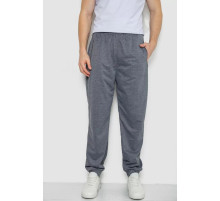 Спортивные брюки мужские, цвет серый, 244R4777