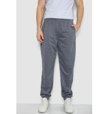 Спортивні штани чоловічі, колір сірий, 244R4777