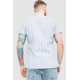 Сорочка чоловіча в смужку 186R0616, колір блакитний, 186R616