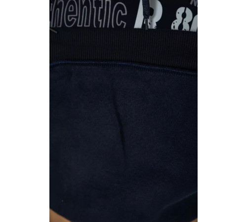 Худі чоловічий на флісі з капюшоном, колір темно-синій, 244R2196