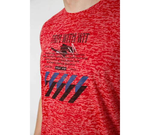 Мужская футболка с принтом, цвет красный, 244R6020