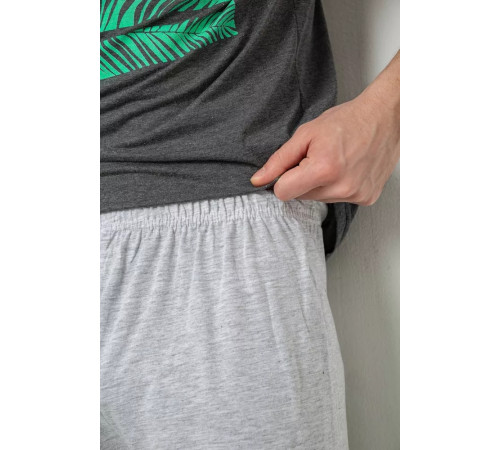 Піжама чоловіча, колір сірий, 243R6208