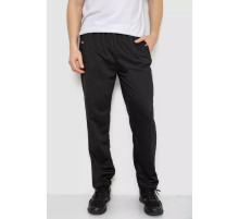 Спорт брюки мужские, цвет черный, 244R41745