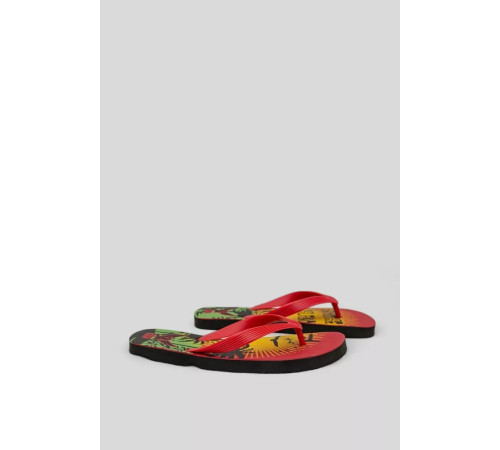 Вьетнамки мужские, цвет красный, 244R337