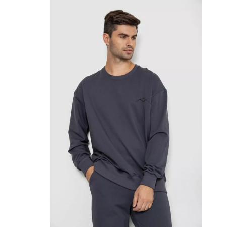 Спортивный мужской демисезонный костюм, цвет серый, 241R176