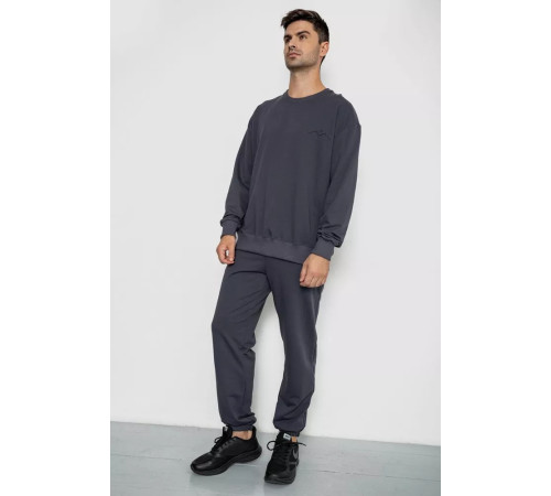 Спортивный мужской демисезонный костюм, цвет серый, 241R176