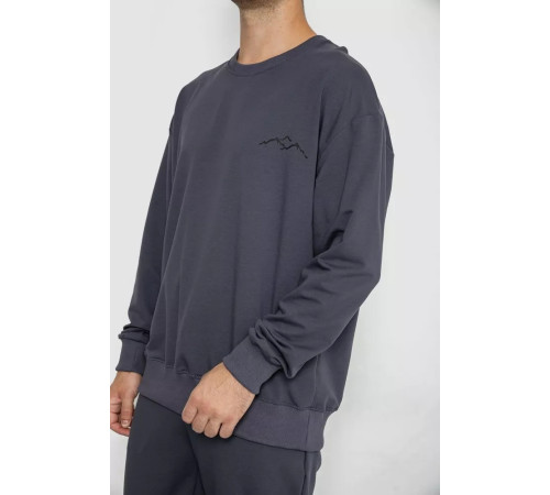 Спортивный мужской демисезонный костюм, цвет серый, 241R176