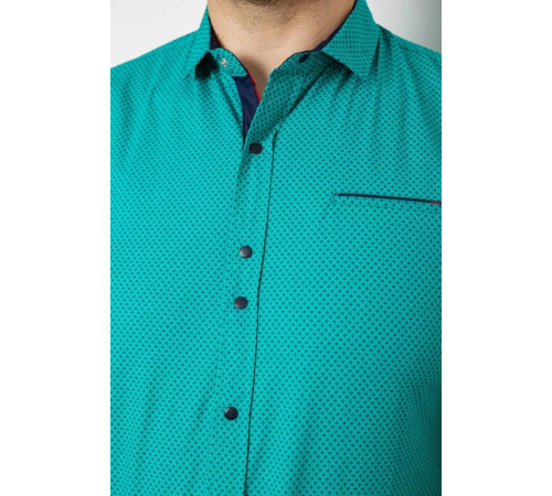 Рубашка мужская с принтом, цвет зеленый, 214RK104