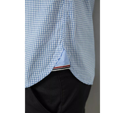 Рубашка мужская в клетку, цвет голубой, 214R9030