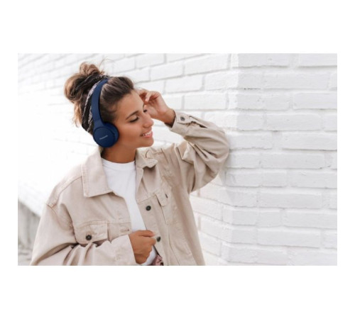 Навушники Panasonic RB-HF420BGEA Blue (RB-HF420BGEA)