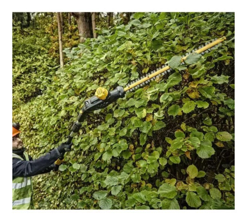 Кущоріз DeWALT DCMPH566P1