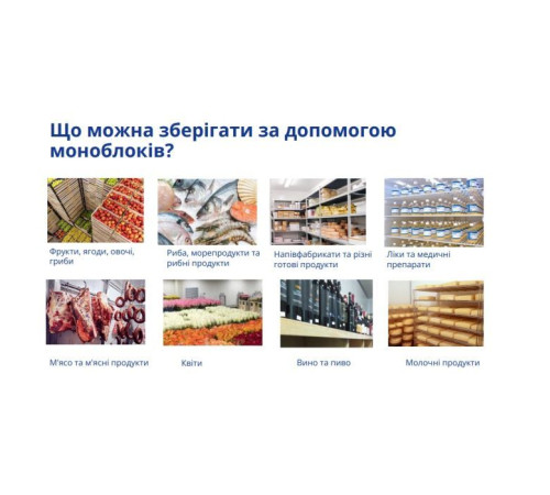 Холодильник Snaige SGL014P