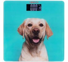 Ваги підлогові Ardesto SCB-965DOG