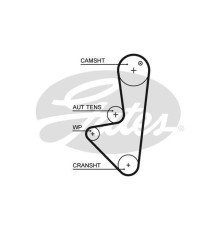 Ремінь ГРМ Gates 5575XS