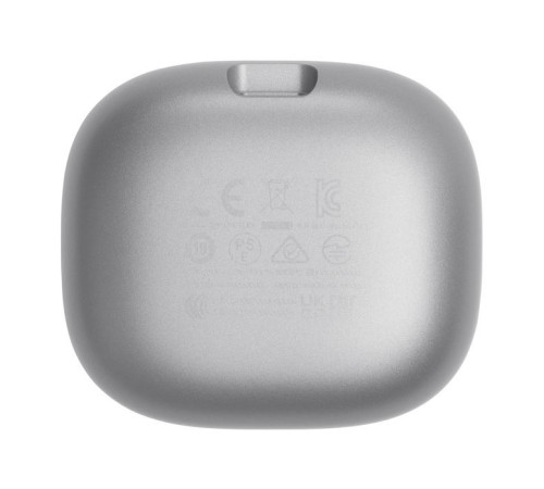 Навушники JBL Live Flex Silver (JBLLIVEFLEXSVR)