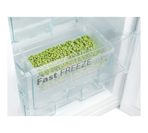 Холодильник Snaige RF58SM-S5RB2E