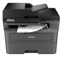 Багатофункціональний пристрій Brother MFCL2802DNYJ1