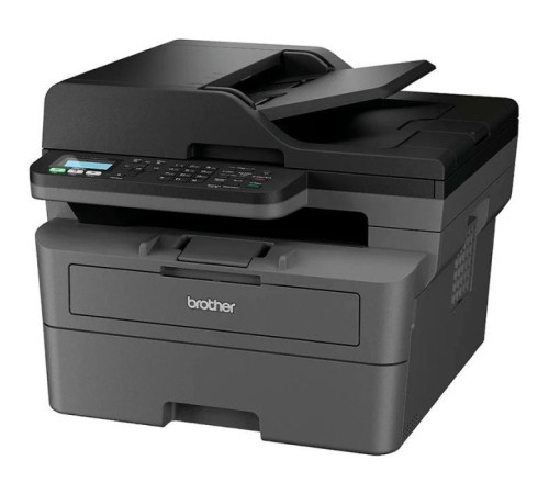 Багатофункціональний пристрій Brother MFCL2802DNYJ1