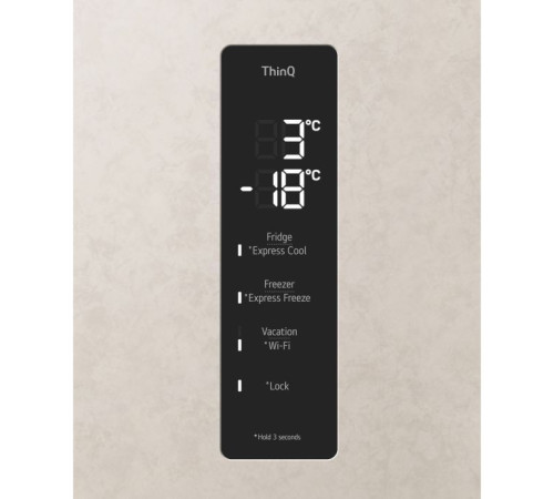 Холодильник LG GC-B509FEPW