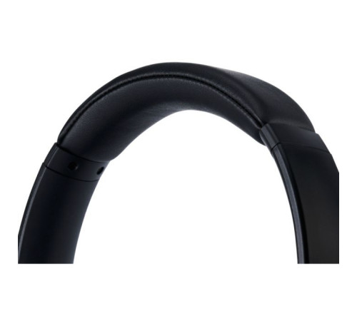 Навушники Panasonic RB-M600B Black (RB-M600BG-K)