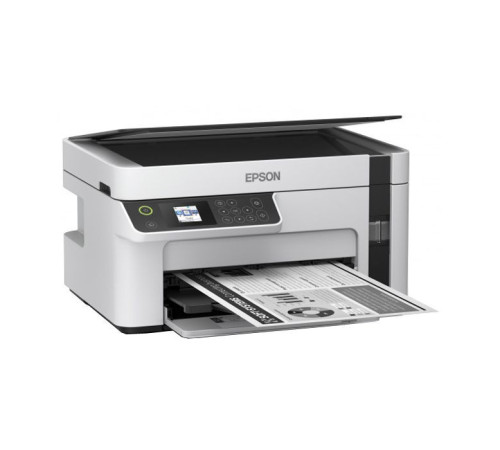 Багатофункціональний пристрій Epson M2110 (C11CJ19401)