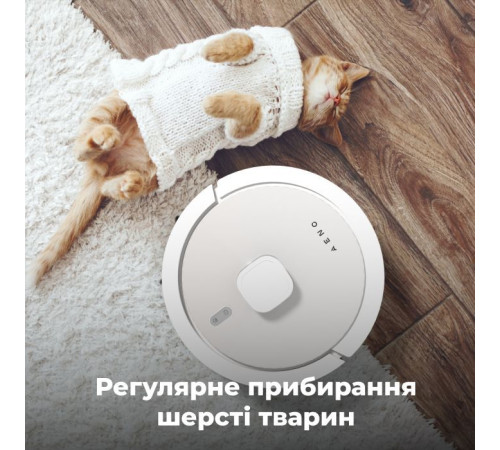 Пилосос AENO RC4S