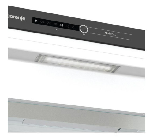 Морозильна камера Gorenje FNI518EA1