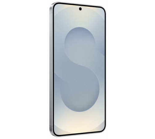 Мобільний телефон Samsung Galaxy S25 12/512Gb Silver Shadow (SM-S931BZSHEUC)