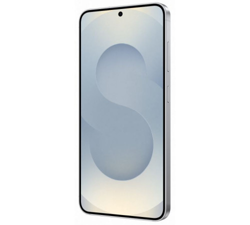 Мобільний телефон Samsung Galaxy S25 12/512Gb Silver Shadow (SM-S931BZSHEUC)