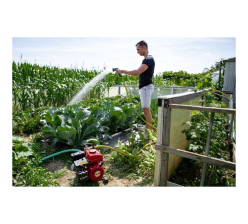 Мотопомпа AL-KO BMP 14001 (113793)