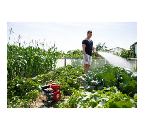 Мотопомпа AL-KO BMP 14001 (113793)