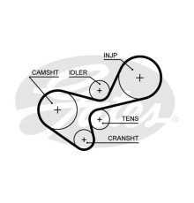Ремінь ГРМ Gates 5639XS